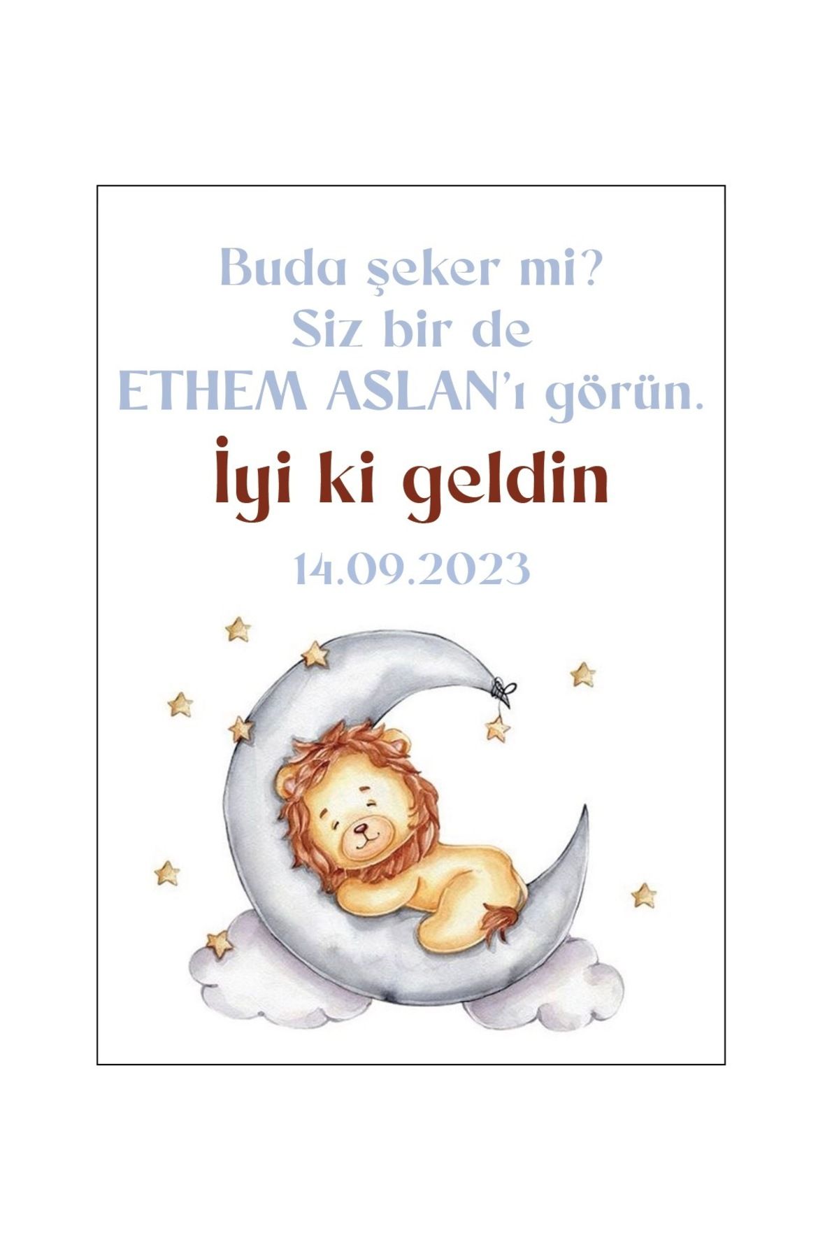 Aslan Konseptli Etiket, Hediyelik Etiket - 5x7cm Dikdörtgen Düz Kesim - 70 Adet Folyo Sticker