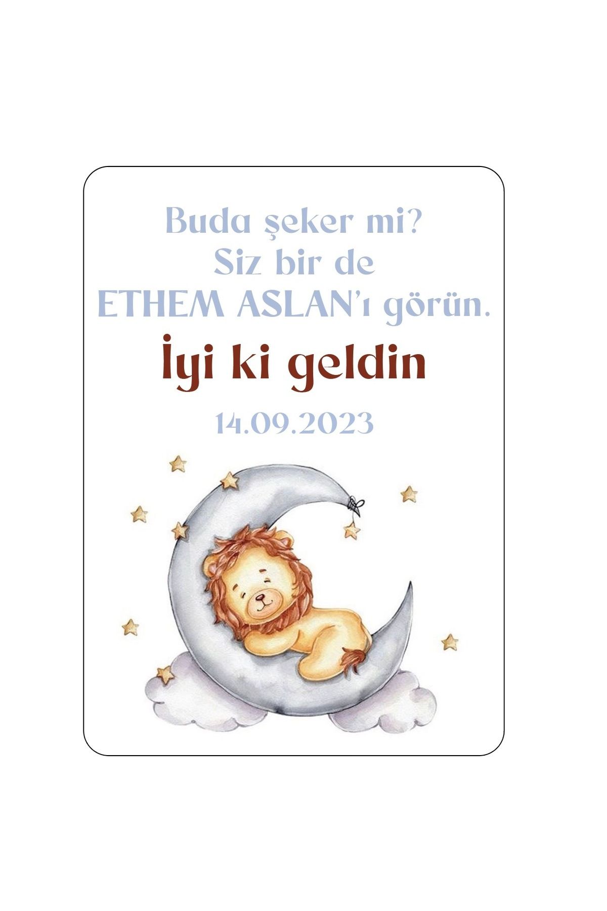 Aslan Konseptli Etiket, Hediyelik Etiket - 5X7cm Dikdörtgen OVAL KESİM - 50 Adet Folyo Sticker