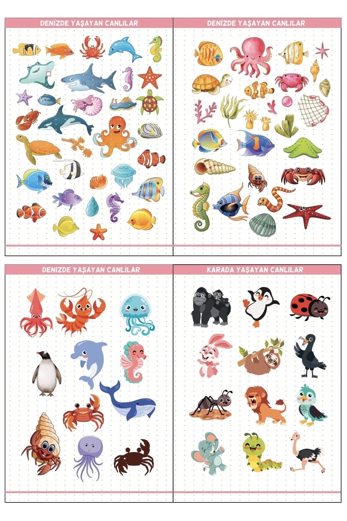 Eğitim Etiketleri Denizde, Havada, Karada Yaşayan Canlılar Figürler, 135 Adet Opak Sticker