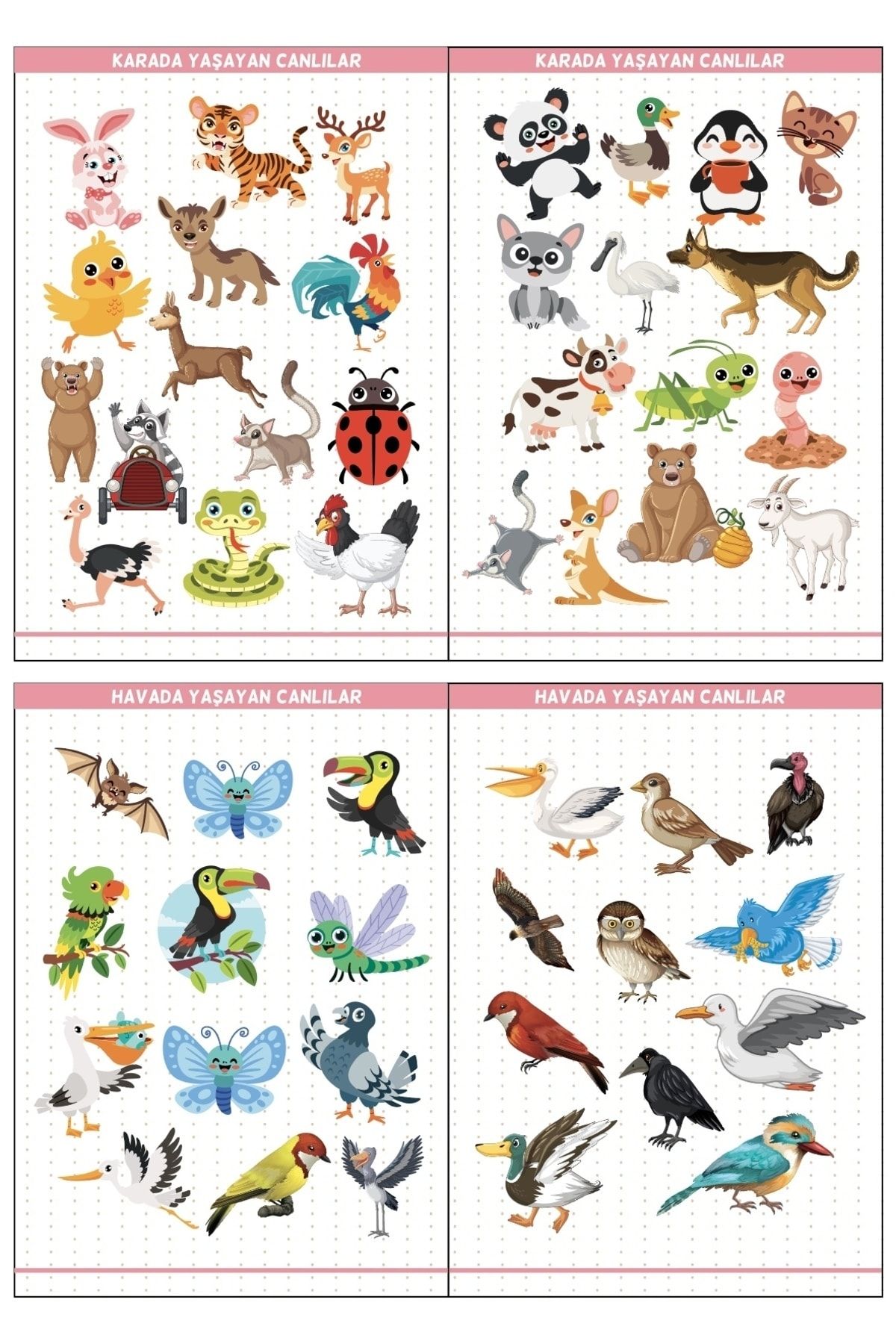 Eğitim Etiketleri Denizde, Havada, Karada Yaşayan Canlılar Figürler, 135 Adet Opak Sticker
