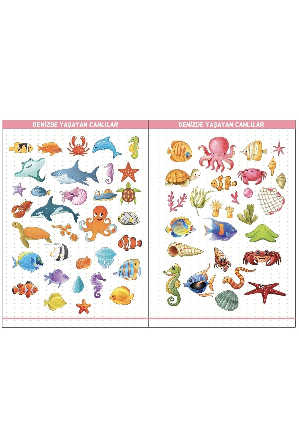 Eğitim Etiketleri Denizde, Havada, Karada Yaşayan Canlılar Figürler, 135 Adet Opak Sticker