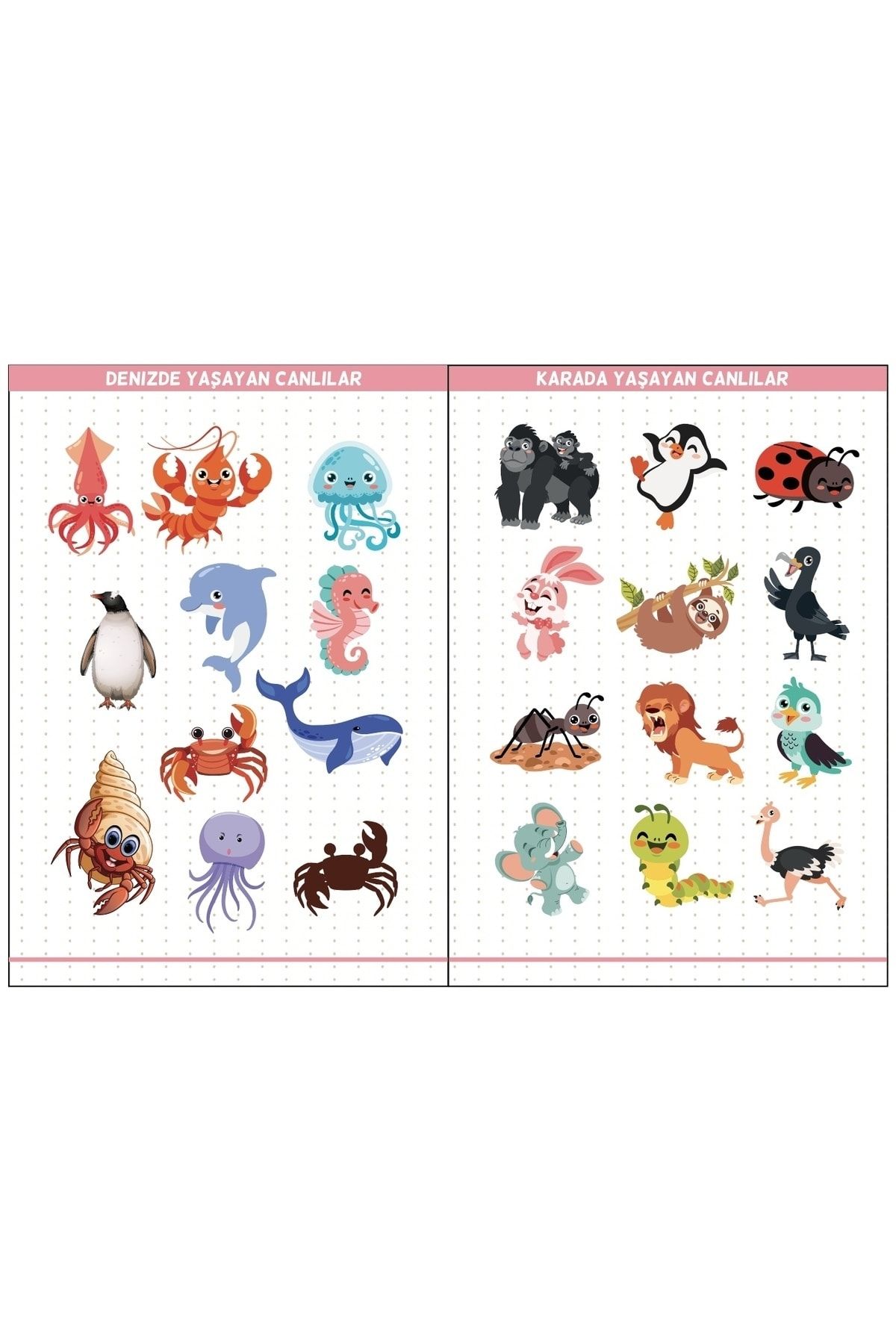 Eğitim Etiketleri Denizde, Havada, Karada Yaşayan Canlılar Figürler, 135 Adet Opak Sticker