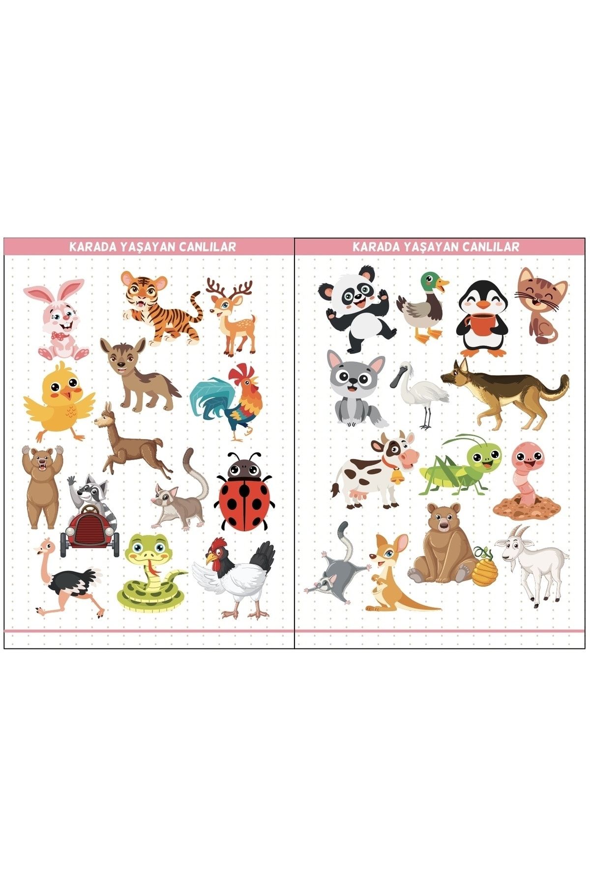 Eğitim Etiketleri Denizde, Havada, Karada Yaşayan Canlılar Figürler, 135 Adet Opak Sticker