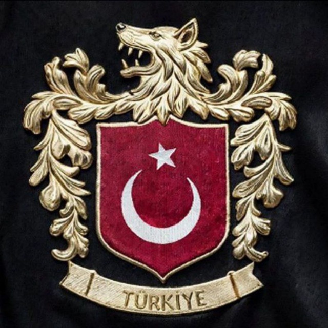 Bozkurtlu Milli Takım Logosu Siyah Zemin - 4 Adet Opak Folyo Sticker