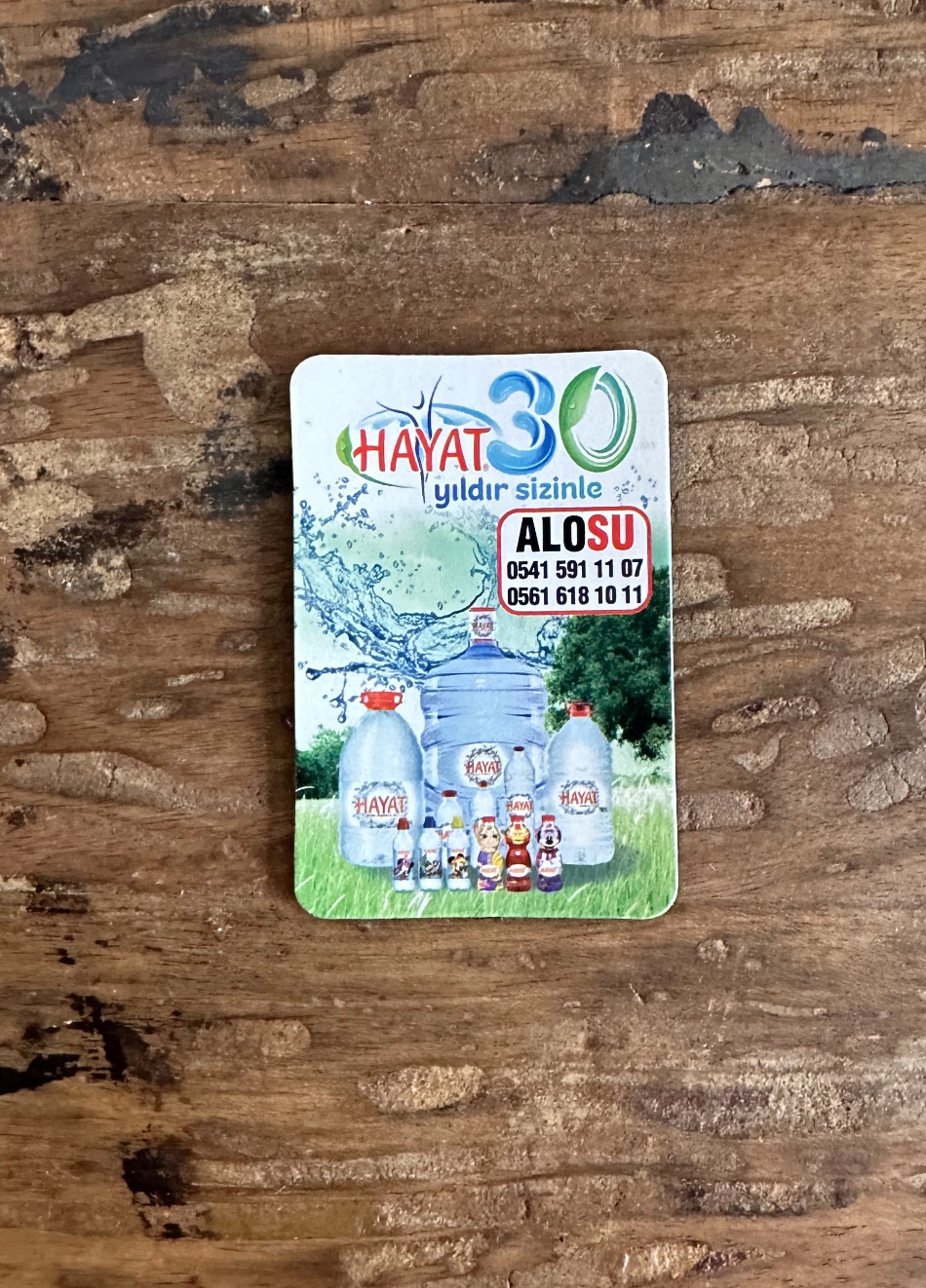 Oval Kesimli Magnet, Standart Ölçüsü 46x68 mm - 1000 Adet